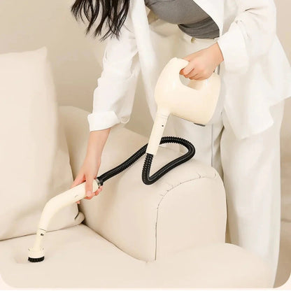 portable steam cleaner