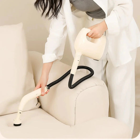 portable steam cleaner