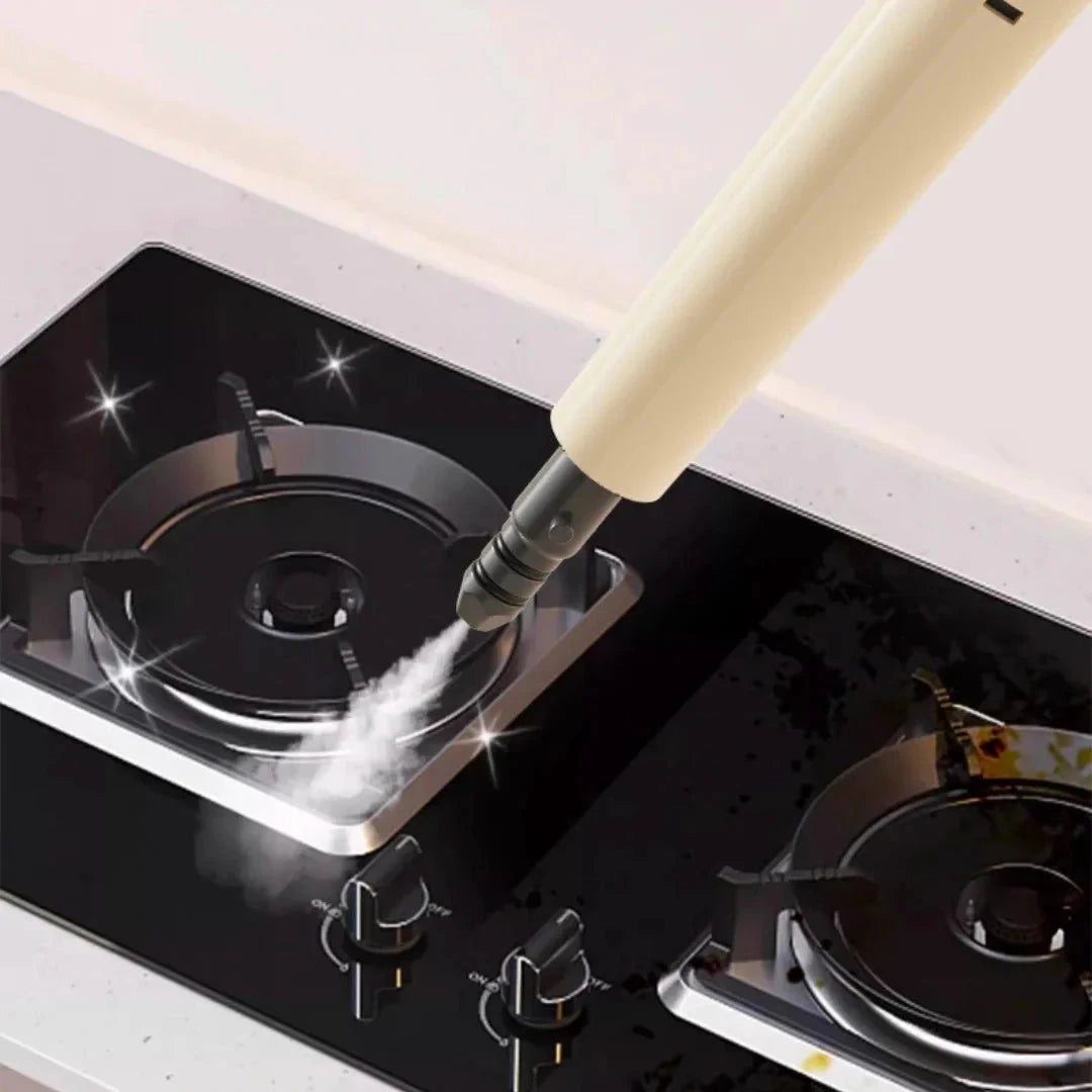 portable steam cleaner