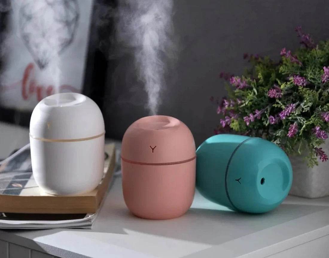 Cute Mini Humidifier – USB Powered & Silent Egg-Shaped Design - www.habarya.com